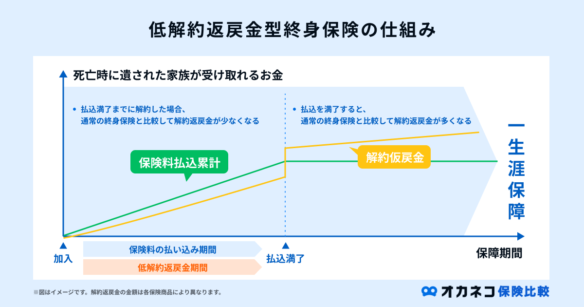 低解約返戻金型終身保険の仕組み