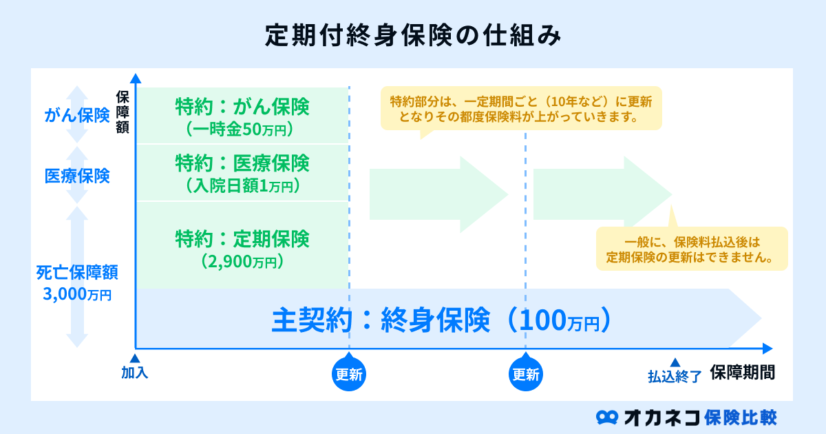 定期付終身保険の仕組み