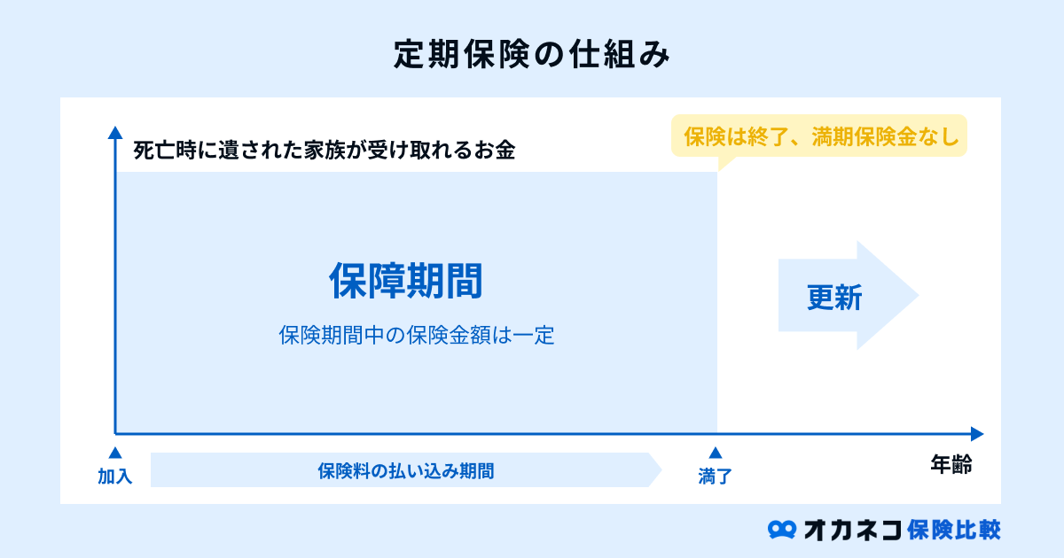 定期保険の仕組み