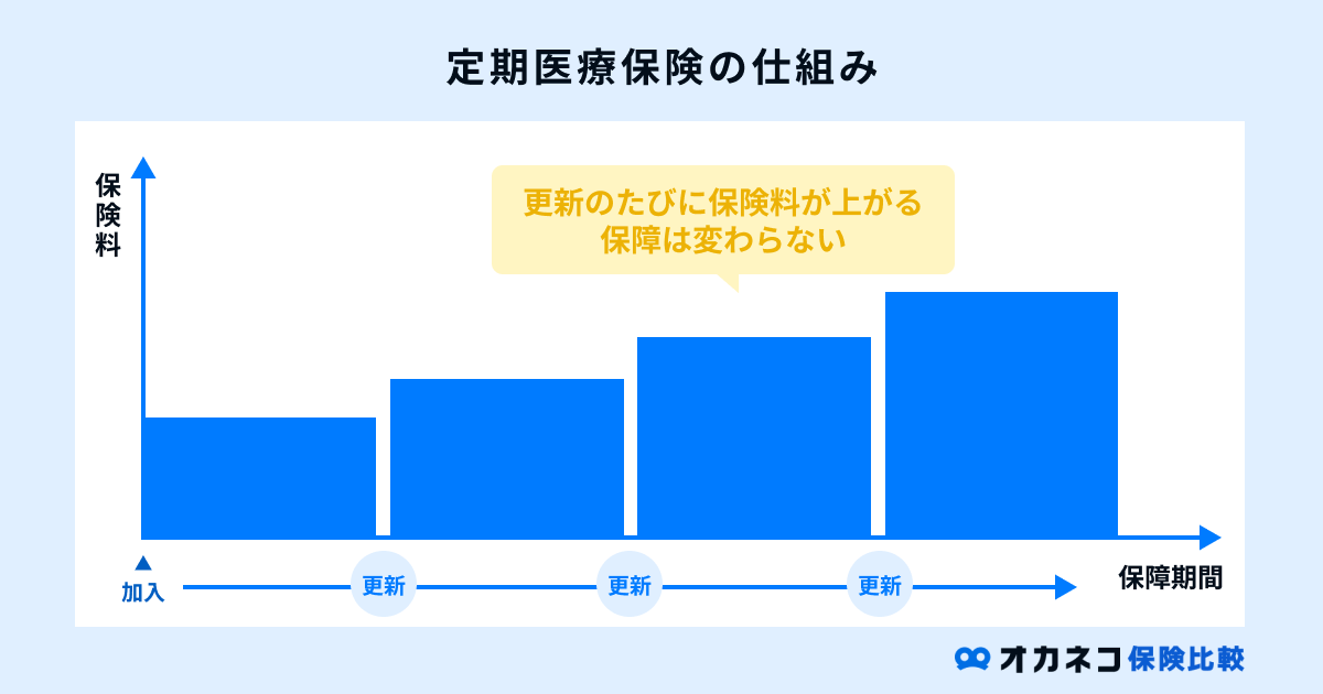 定期医療保険の仕組み