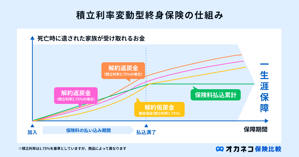 終身保険の人気比較ランキング | 2023年○月版 | オカネコ保険比較