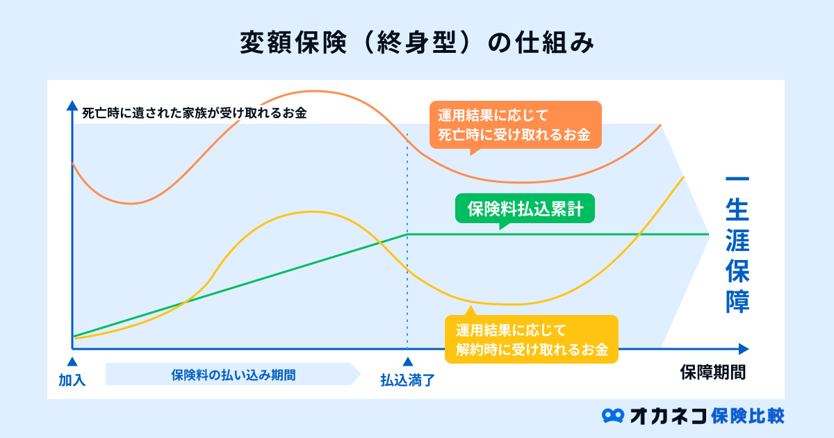 終身保険の人気比較ランキング | 2023年○月版 | オカネコ保険比較