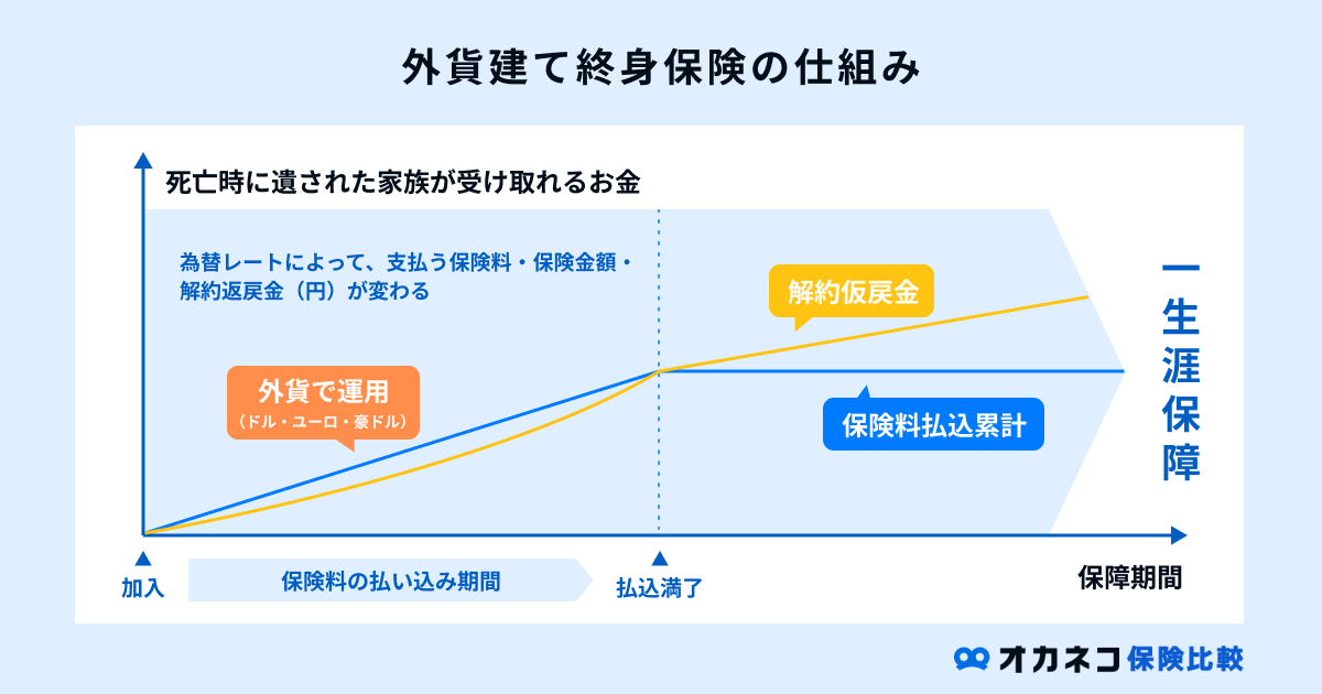 終身保険の人気比較ランキング | 2023年○月版 | オカネコ保険比較