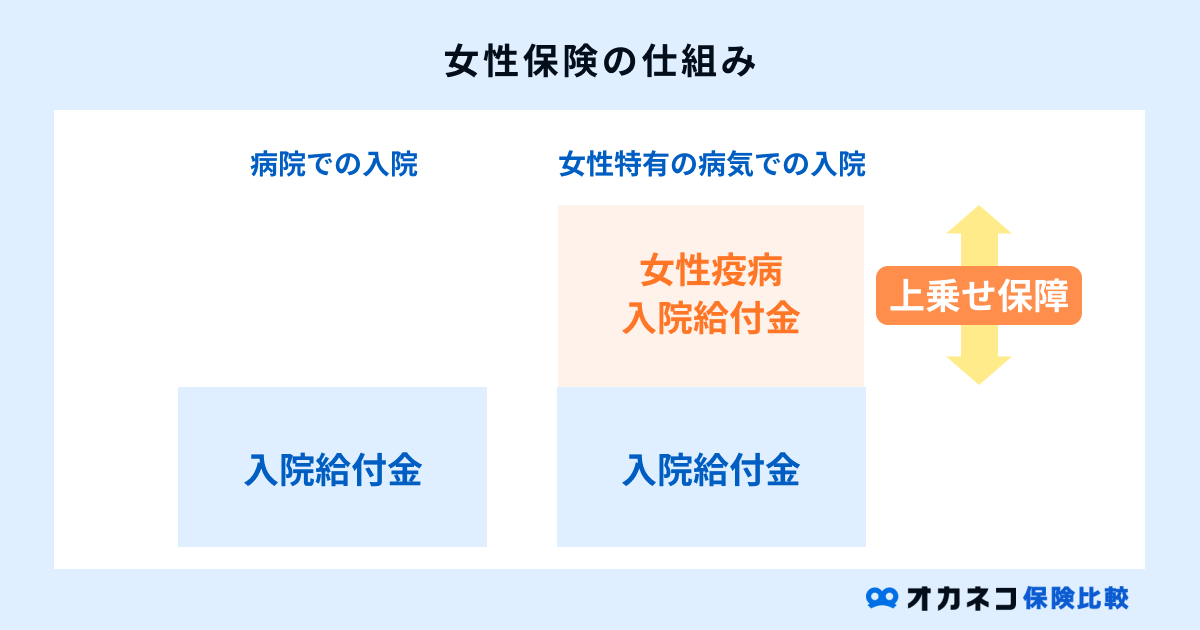 女性保険の仕組み