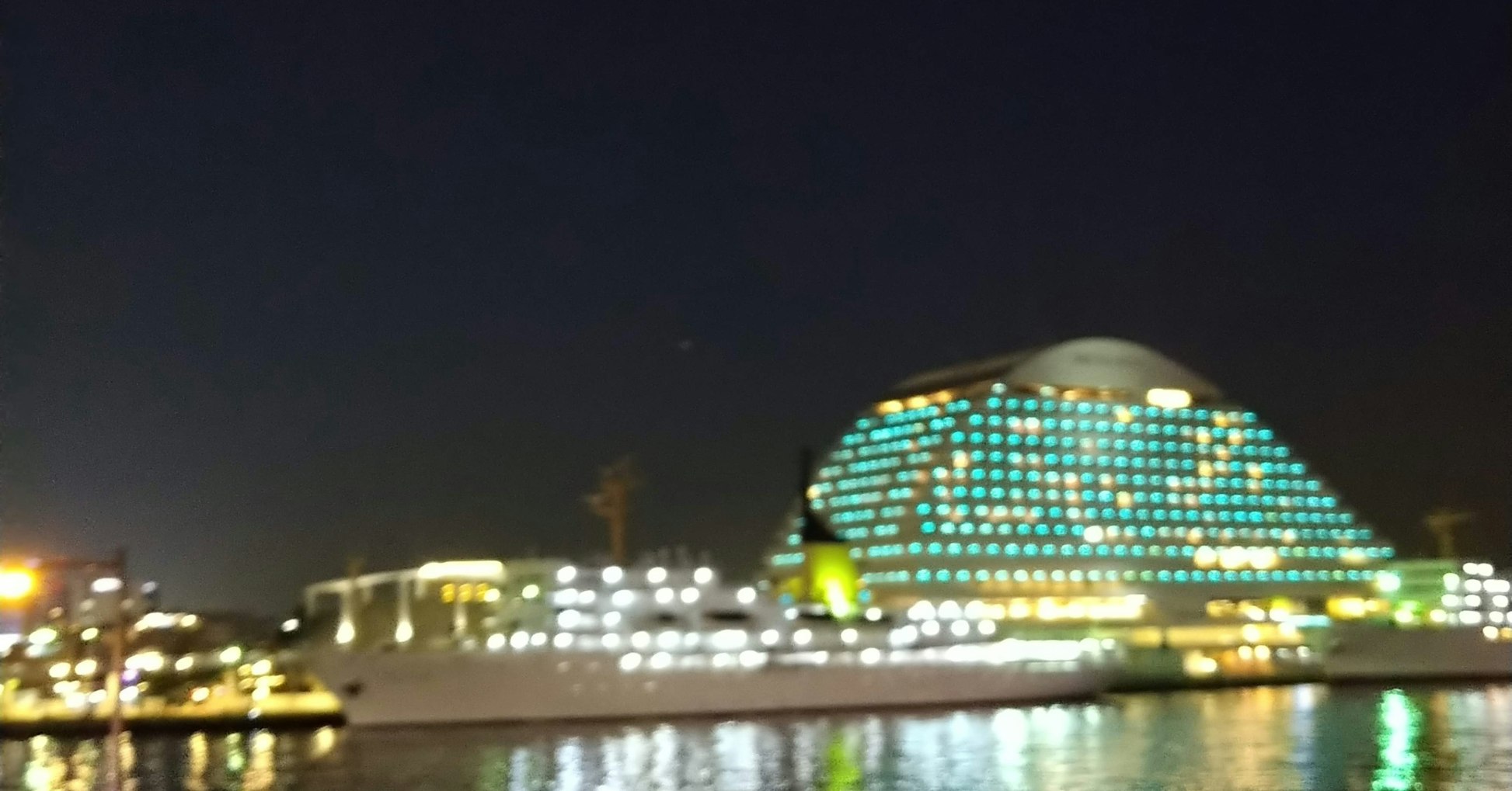 田村 大輔 オカネコ